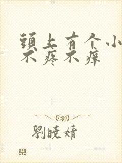 头上有个小疙瘩不疼不痒