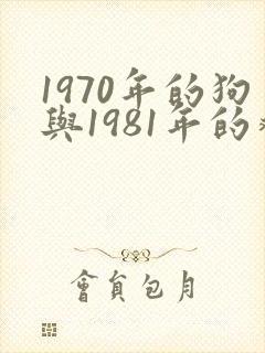 1970年的狗与1981年的鸡可以结婚吗