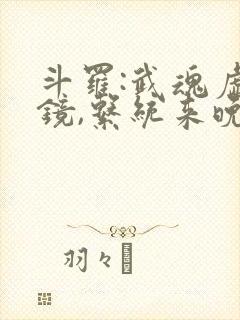 斗罗:武魂虚空镜,系统来晚了