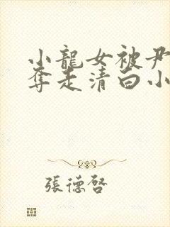 小龙女被尹志平夺走清白小说在线阅读封面