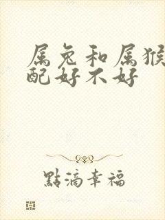 属兔和属猴的婚配好不好封面