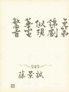 繁华似锦免费观看电视剧第十二集