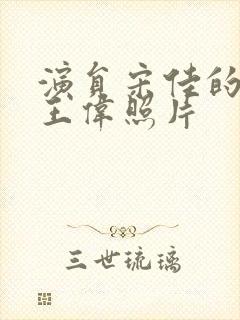 演员宋佳的丈夫王伟照片