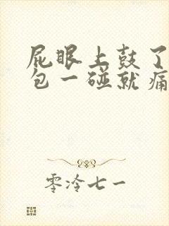 屁眼上鼓了一个包一碰就痛