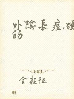 外阴长痘,硬硬的