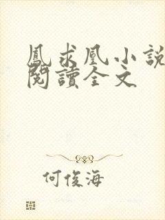 凤求凰小说免费阅读全文封面