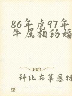 86年虎97年牛属相的婚配