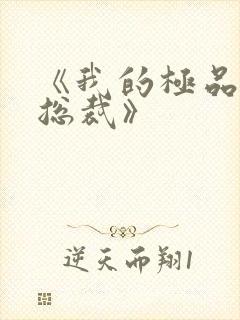 《我的极品美女总裁》封面