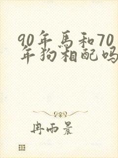 90年马和70年狗相配吗
