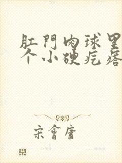 肛门肉球里面有个小硬疙瘩