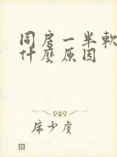 同房一半软了是什么原因