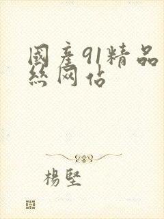 国产91精品黑丝网站