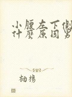 小腹左下侧疼痛什么原因男性