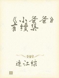 《小爸爸》有没有续集