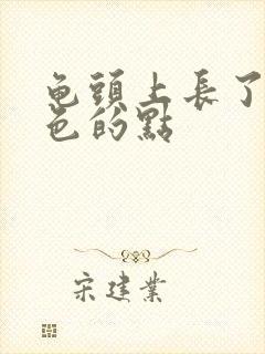 龟头上长了个红色的点封面