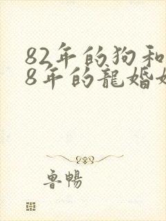 82年的狗和88年的龙婚姻相配吗