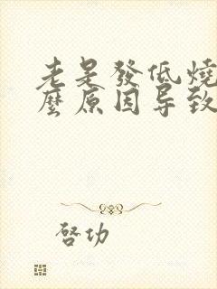 老是发低烧是什么原因导致的