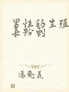 男性的生殖器上长粉刺封面