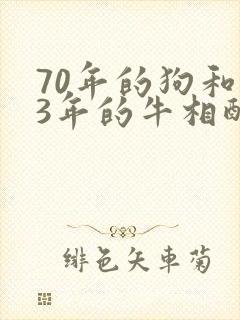 70年的狗和73年的牛相配吗
