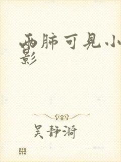 两肺可见小结节影封面