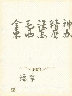 金毛没精神不吃东西怎么办封面