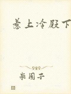 惹上冷殿下免费