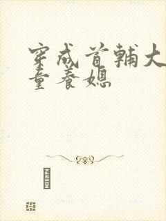 穿成首辅大人的童养媳