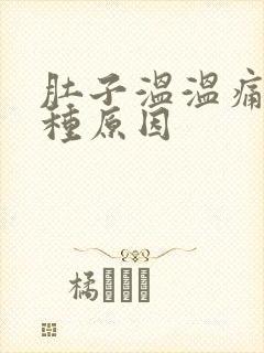 肚子温温痛有几种原因