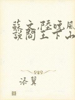 苏文,陆晚风小说阎王下山