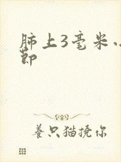 肺上3毫米小结节封面