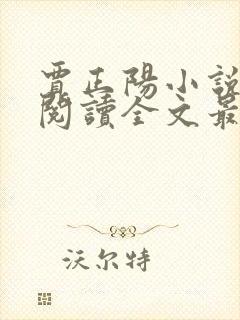 贾正阳小说免费阅读全文最新章节