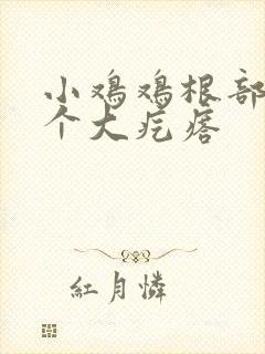 小鸡鸡根部有一个大疙瘩封面