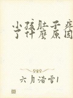 小孩肚子疼还吐了什么原因怎么缓解一下封面