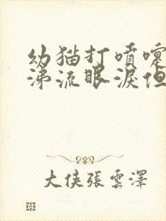 幼猫打喷嚏流鼻涕流眼泪但是很精神