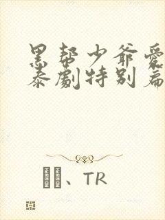 黑帮少爷爱上我泰剧特别篇封面