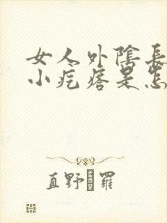 女人外阴长一个小疙瘩是怎么回事