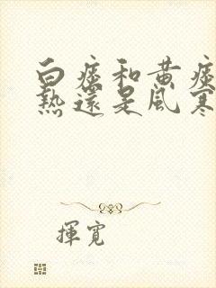 白痰和黄痰是风热还是风寒封面