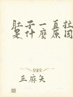 肚子一直拉稀水是什么原因