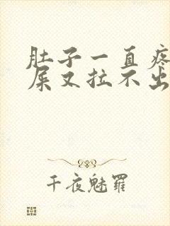 肚子一直疼想拉屎又拉不出来