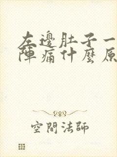 左边肚子一阵一阵痛什么原因