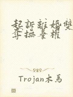 起诉离婚双方争夺抚养权