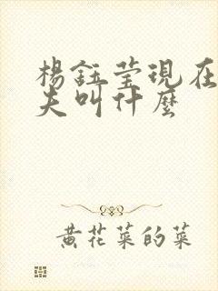 杨钰莹现在的丈夫叫什么