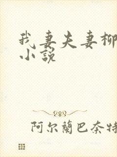 我妻夫妻柳如烟小说