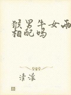 猴男牛女两生肖相配吗