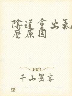 阴道会出气是什么原因