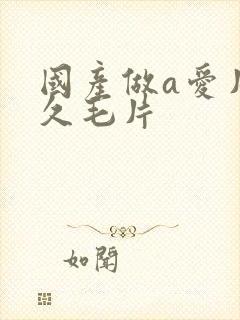 国产做a爱片久久毛片