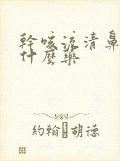 干咳流清鼻涕吃什么药