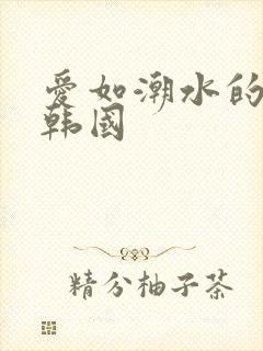 爱如潮水的视频韩国