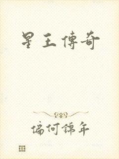 星王传奇