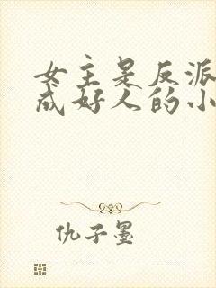 女主是反派却装成好人的小说